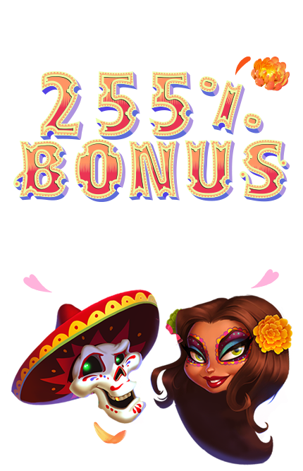 Casushi Casushi Casino